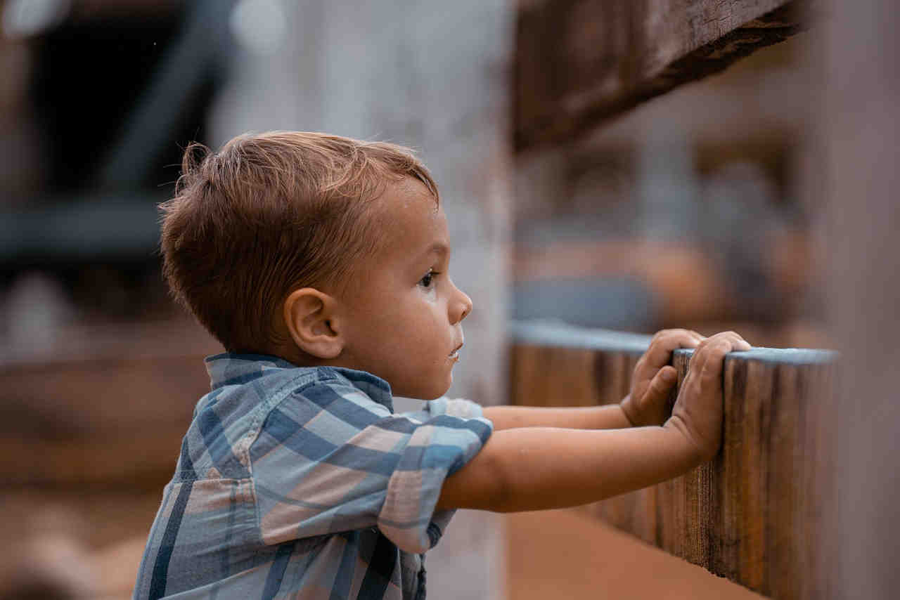 a young boy looking out of a window waiting for his adoptive parents.